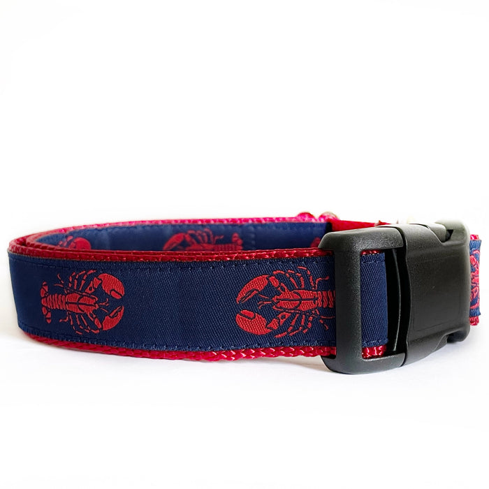 Maine Dog Collars and Leashes